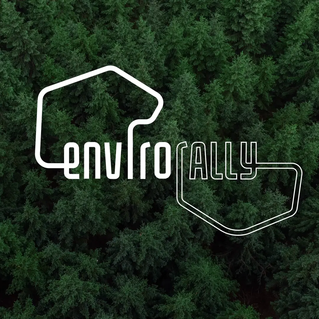 Logo design, animation and brand identity for an electric vehicle rally company